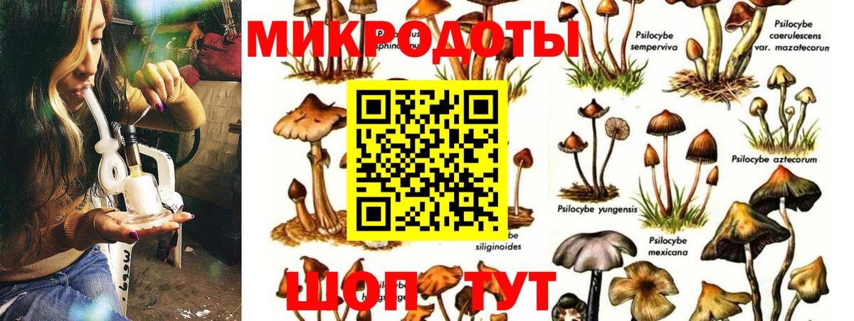 Галлюциногенные грибы MAGIC MUSHROOMS  Вход с VPN  Псилоцибиновые грибы мухоморы  Сергиев Посад 